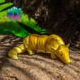 04.jpg Articulated Armadillo