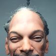 20250702_173816-1.jpg snoop dogg model &mold
