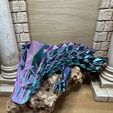 IMG_1434.jpg Bigarm-Gelenkdrache