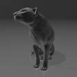 panther-noir-1.png Black Panther