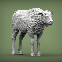 bison1.jpg Fichier 3D modèle d'impression 3D d'un veau bison・Objet pour imprimante 3D à télécharger