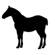 IMG-3650.png Horse silhouette