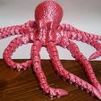 Octopus 2.0