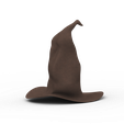 01.png witcher hat