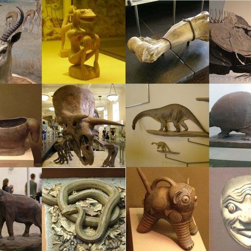 Unprocessed American Museum of Natural History Scans 3D model