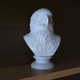 dfdfg.png Eagle Bust