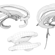 Limbic_Wireframe_1.png Limbic System Anatomy