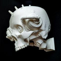 PXL_20230823_162448801~2.jpg STL file Serviborg Skull Wall Mount・3D printer design to download