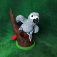 IMG_20240731_170151093.jpg African Grey Pencil Holder