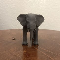 Elephant1.jpg Fichier STL Éléphant・Plan à imprimer en 3D à télécharger, Lynx_Dzgn