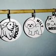 WhatsApp-Image-2024-02-02-at-01.09.16-1.jpeg PET TAGS Identifiers/Pet Tags