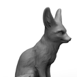 untitled.82.png Fennec fox
