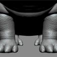 07.jpg Hippo