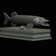northern-pike-statue-box-1-2-1-27.png fish NORTHERN PIKE (ESOX LUCIUS) open mouth with storage space / for 3d printing