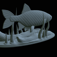 Perlin-24.png fish common rudd statue detailed texture for 3d printing