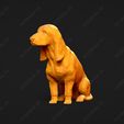 833-Basset_Bleu_de_Gascogne_Pose_06.jpg Basset Bleu de Gascogne Dog 3D Print Model Pose 06