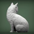 cat-looks-back5.jpg Cat for 3d printing