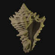 shell.blend10074.png Shell