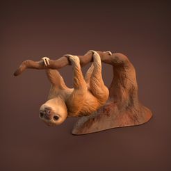 Baby_sloth_1.jpg Archivo 3D Bebé perezoso・Design para impresora 3D para descargar