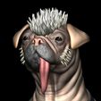 ZGrab07.jpg DOGPOOL