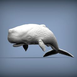 untitled.1222.jpg 3D file Sperm whale 3D print model・Design to download and 3D print