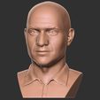 2.jpg Andre Agassi bust for 3D printing