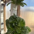 IMG_6398.jpg Upgraded Vertical Hydroponic Netpot Mount V2.0