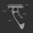 Ref_02.jpg OBJ file Velociraptor skeleton life size Part02/05・3D printer model to download