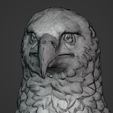 I13.jpg Eagle Bust - Original Design