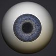 2.jpg Human eye