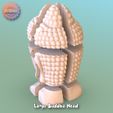 Photostramien5.jpg Large Buddha Head