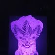 20230630_214129.jpg lion cub litho lamp