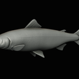 Salmon-statue-box-1-41.png fish sculpture of a Atlantic salmon / salmo salar with storage space / for 3d printing