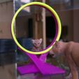 Jump_hoop_01.jpg STL file Jump hoop for pets・3D printer design to download