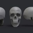 Prev.694.jpg 头骨 3D 打印模型