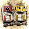 5AF10434-BCF5-4843-AE60-CD131411E1D0.jpeg STAR WARS DROID GARDENER R4-PL AND R3-PL #PLANTERSXCULTS