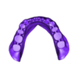 lower base.stl Upper and lower full dentures. Teeth and bases