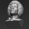 22.jpg Jimi Hendrix bust 3D printing ready stl obj