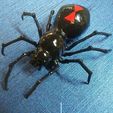 0918192226.jpg Realistic Spider for Jewelry or Home Decoration