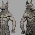 3.jpg Anubis A