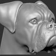 6.jpg Boxer dog for 3D printing