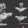 11.jpg Broly Bust - from Broly Movie 2019