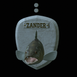 zander-head-trophy-2.png fish head trophy zander / pikeperch / Sander lucioperca open mouth statue detailed texture for 3d printing