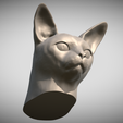 Zrzut-ekranu-2025-06-14-113432.png Abyssinian cat head for 3D printing