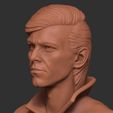 19.jpg David Bowie bust