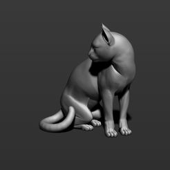 17.jpg Download free STL file Cat pensive • 3D printable model, amforma
