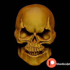 8.png Skull / Skeletor Skull