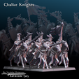 ChaliceKnightsA.png Chalice Knights