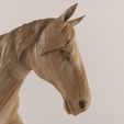 Dimetric View (Zoom).jpg Wooden Horse-43