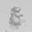 lapinou-5.jpg Rabbit Rabbit 🐇